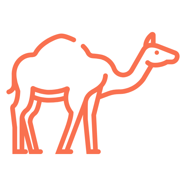 animal-camel-desert-svgrepo-com