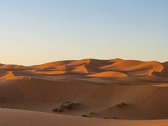 caption - 2024-04-26T123826.098