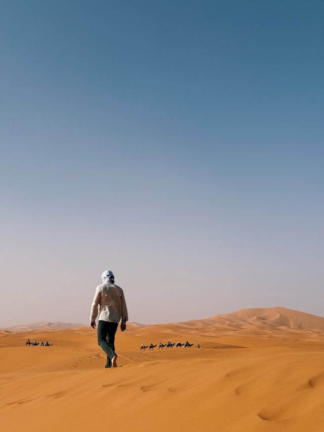 pexels-1093389518-31704016